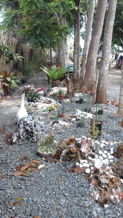 Larmar Bed And Breakfast Puerto Princesa Δωμάτιο φωτογραφία